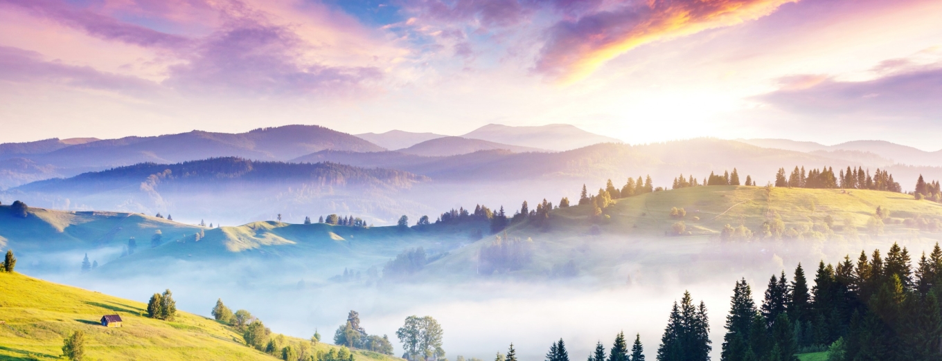 A saepe dolor molestiae