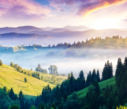 A saepe dolor molestiae A saepe dolor molestiae